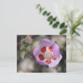 Desert Five Spot Briefkaart (Staand voorkant)