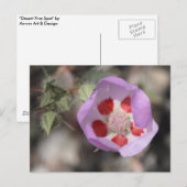 Desert Five Spot Briefkaart (Voorkant / Achterkant)