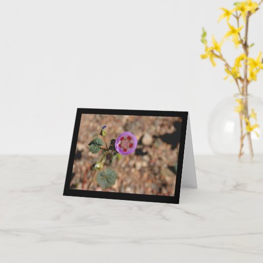 Desert Five Spot Note Card Kaart (Gele Bloem)