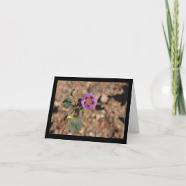 Desert Five Spot Note Card Kaart