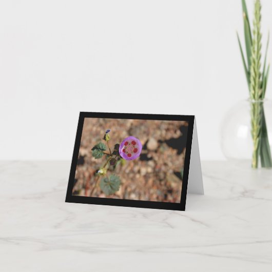 Desert Five Spot Note Card Kaart (Voorkant)