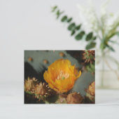 Desert Gold Briefkaart (Staand voorkant)