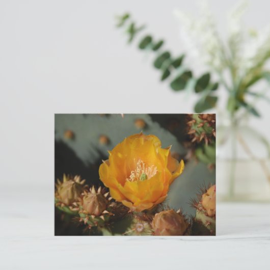 Desert Gold Briefkaart (Staand voorkant)