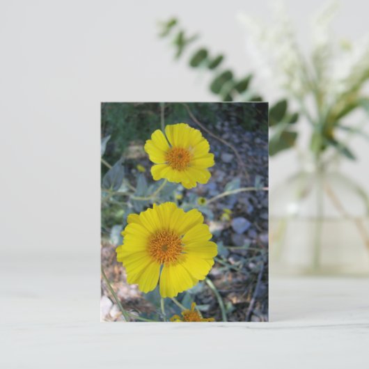 Desert Gold Briefkaart (Staand voorkant)