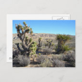 Desert Greenery Briefkaart (Voorkant / Achterkant)