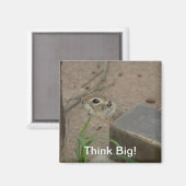 Desert Ground Eekhoorn Dier Motivatie Magneet (Voorkant / Achterkant)