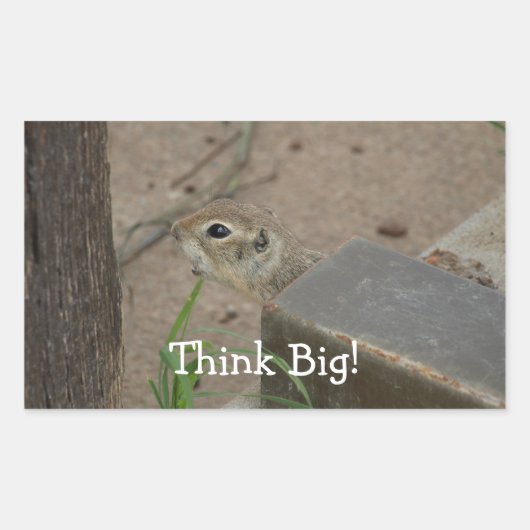 Desert Ground Eekhoorn Dier Motivatie Rechthoekige Sticker (Voorkant)