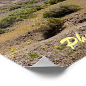 Desert Hill Poster (Hoek)