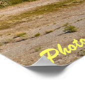 Desert Hills Poster (Hoek)