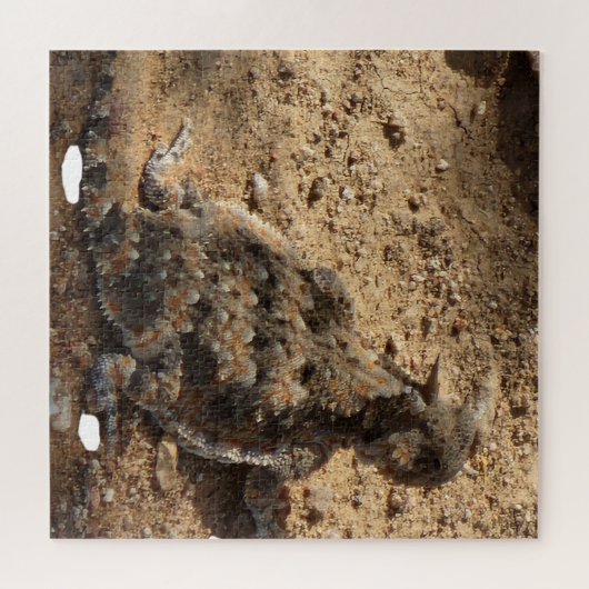 Desert Horst Lizard Difficult Legpuzzel (Horizontaal)