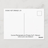 DESERT HOT SPRINGS #2 BRIEFKAART (Achterkant)