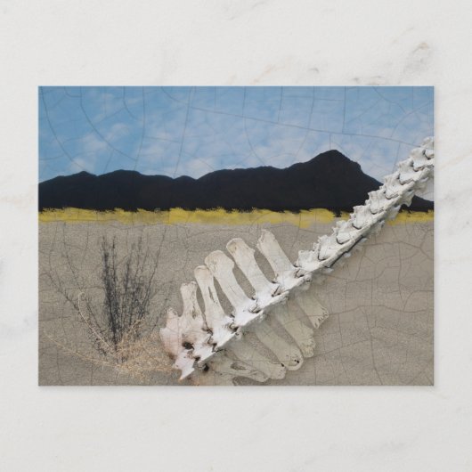 Desert Iconic op de manier van Georgia O'Keeffe. Briefkaart (Voorkant)