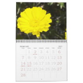 DESERT IN BLOOM KALENDER (Feb 2027)