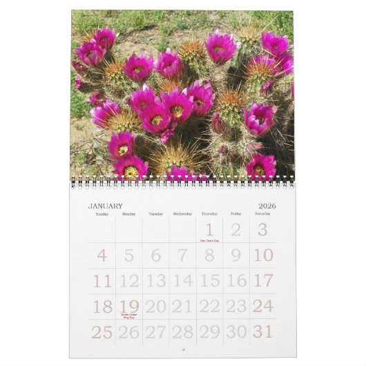 DESERT IN BLOOM KALENDER (Jan 2026)