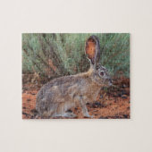 Desert Jackrabbit Legpuzzel (Horizontaal)