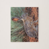 Desert Jackrabbit Legpuzzel (Verticaal)