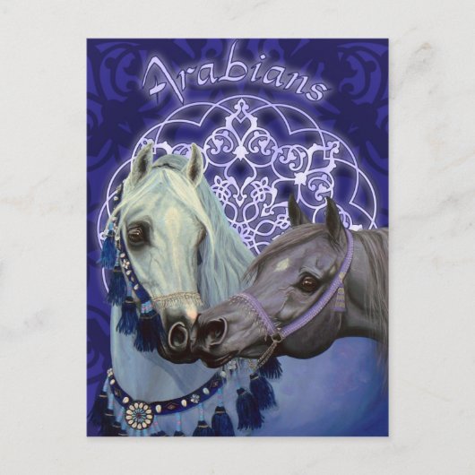 Desert Jewels Arabian paarden briefkaart (Voorkant)