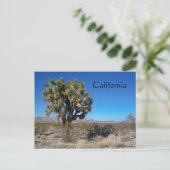 Desert Joshua Tree Briefkaart (Staand voorkant)