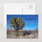 Desert Joshua Tree Briefkaart (Voorkant / Achterkant)