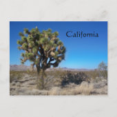 Desert Joshua Tree Briefkaart (Voorkant)