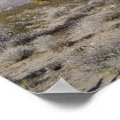 Desert Joshua Tree Poster (Hoek)