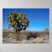 Desert Joshua Tree Poster (Voorkant)