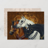 Desert Kings Arabian paarden briefkaart (Voorkant / Achterkant)
