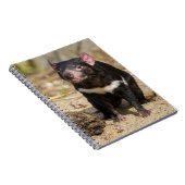 Desert Light – Tasmanian Devil Notitieboek (Rechterzijde)