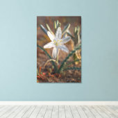 Desert Lily Wildbloblobloemen Canvas Afdruk (Insitu (Houten vloer))