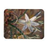 Desert Lily Wildbloblobloemen Magneet (Horizontaal)