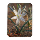 Desert Lily Wildbloblobloemen Magneet (Verticaal)