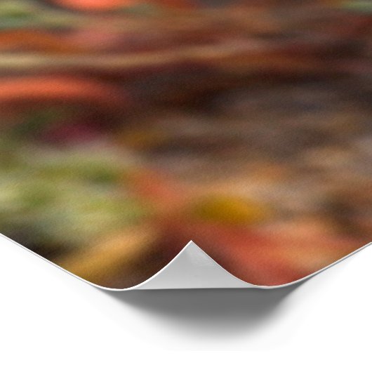 Desert Lily Wildbloblobloemen Poster (Hoek)