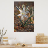 Desert Lily Wildbloblobloemen Poster (Keuken)