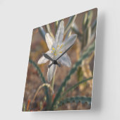 Desert Lily Wildbloblobloemen Vierkante Klok (Hoek)