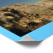 Desert Magic Poster (Hoek)