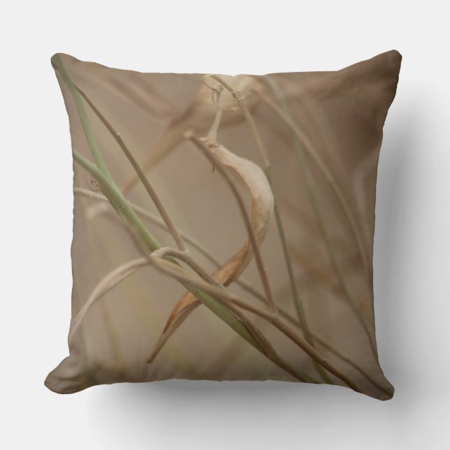Desert Milkweed Pods Kussen (Voorkant)