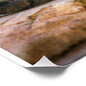 Desert Monarch: The Resting Cougar Perfect Poster (Hoek)