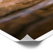 Desert Monarch: The Resting Cougar Poster (Hoek)