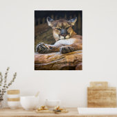 Desert Monarch: The Resting Cougar Poster (Keuken)