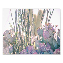 Desert Morning | Fotoafdrukken Foto Afdruk