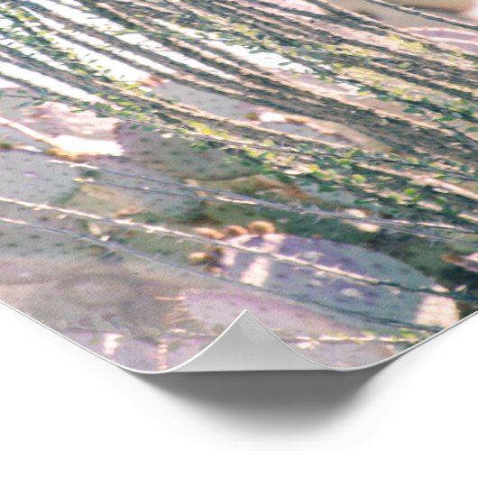 Desert Morning | POSTER (Hoek)