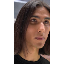 Desert Mustang T-shirt