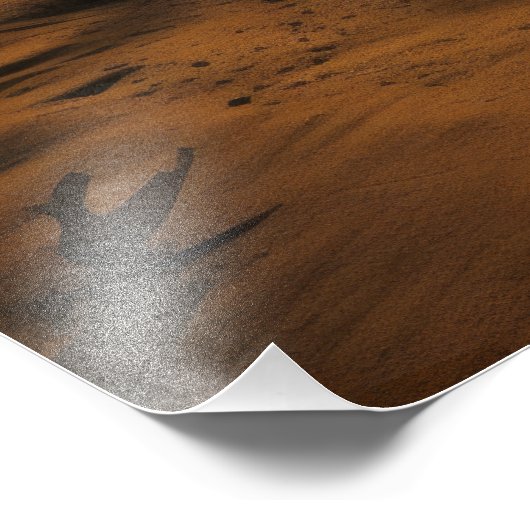 Desert Oasis Foto Afdruk (Hoek)