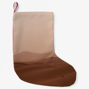 DESERT ONDER WITTE SKY TIJDENS DAG KLEINE KERSTSOK