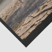 desert paarden tissuepapier (Detail)