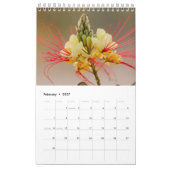 Desert Photo Gift met Cactus Kalender (Feb 2027)