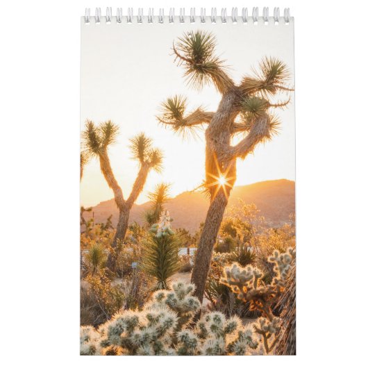 Desert Photo Gift met Cactus Kalender (Hoes)