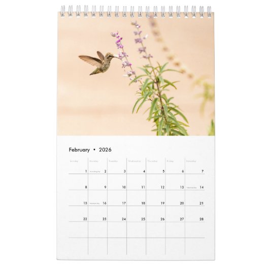 Desert Photo Gift met Cactus Kalender (Feb 2026)