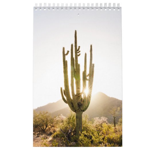 Desert Photo Gift met Cactus Kalender (Hoes)