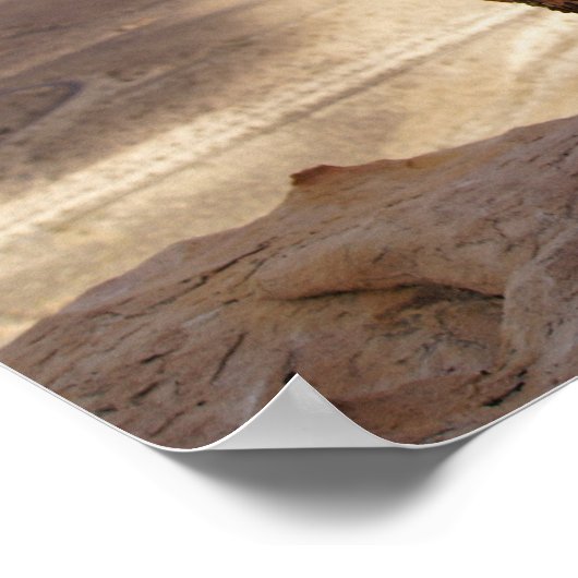 Desert Plain Poster (Hoek)